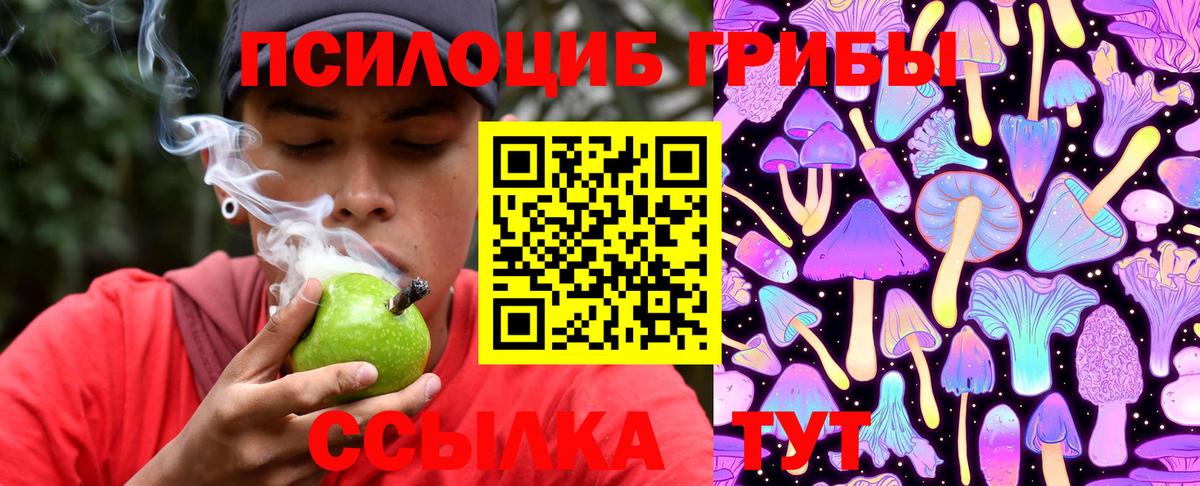 как найти наркотики  Вход с VPN  Надым  Галлюциногенные грибы MAGIC MUSHROOMS  Галлюциногенные грибы Psilocybine cubensis 