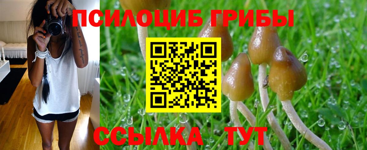 Галлюциногенные грибы Magic Shrooms Надым